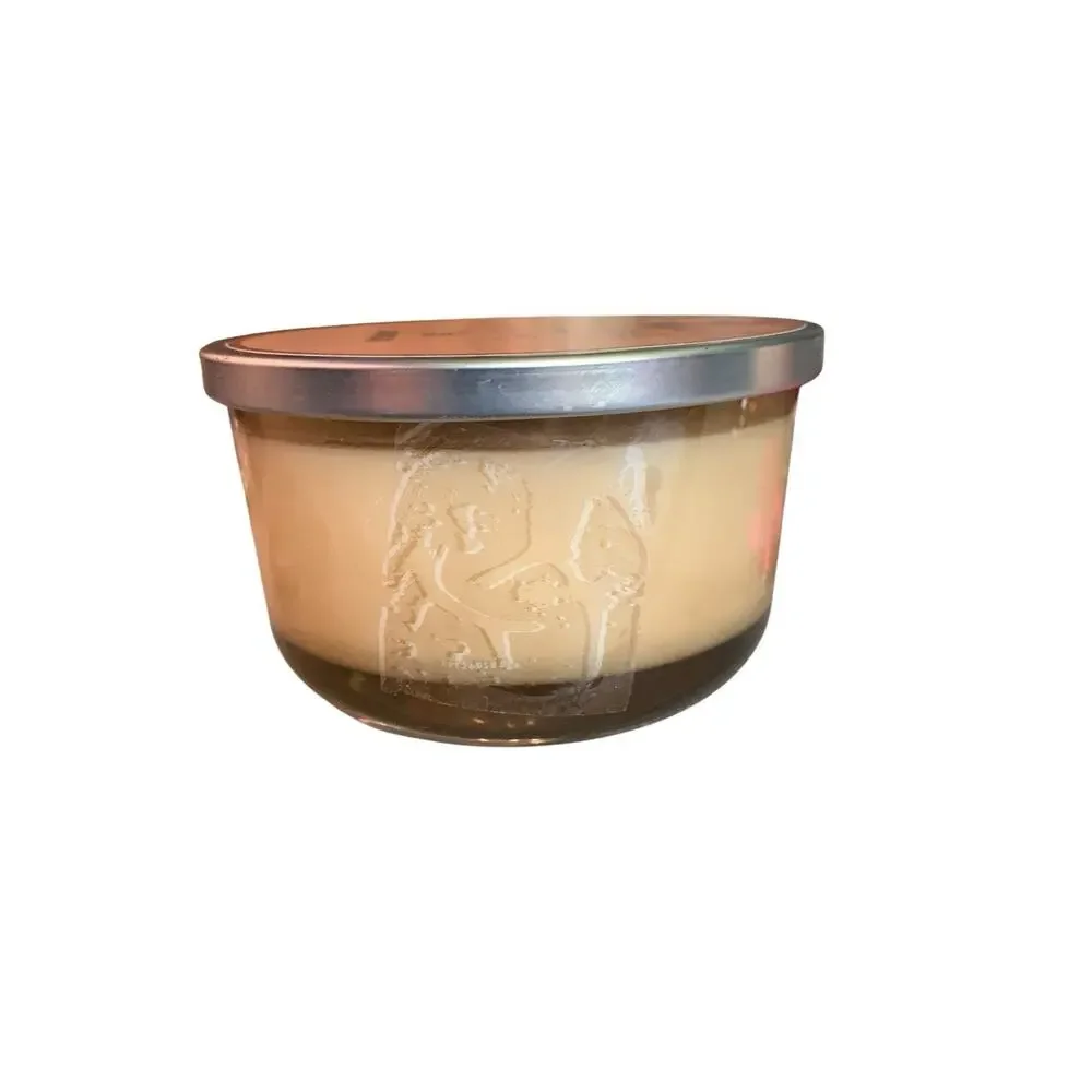 Pier 1 Sweet‎ Tonquin VANILLE ET CARAMEL 3 Wick Candle New Retired READ